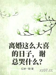 离婚这么大喜的日子，谢总哭什么？小说封面-红枣一颗-都市