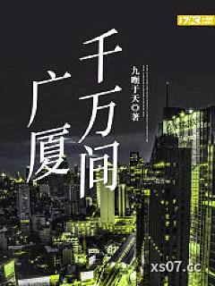 广厦千万间小说封面-九暅于天-都市