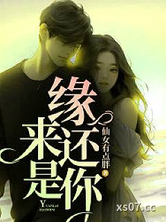 缘来还是你小说封面-仙女有点胖-都市