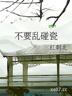 不要乱碰瓷