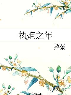 执炬之年