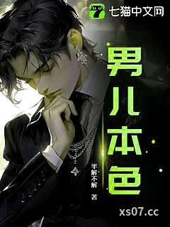 男儿本色小说封面-半解不解-都市