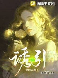 诱引小说封面-梦回大唐-都市