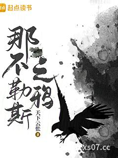 那不勒斯之鸦小说封面-天下云怅-言情