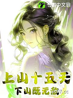 上山十五天，下山既无敌小说封面-花车巡游-都市