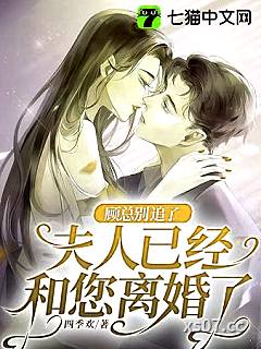 顾总别追了，夫人已经和您离婚了小说封面-四季欢-言情