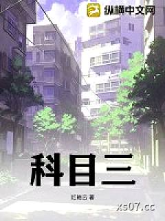 科目三小说封面-红袖云-其他