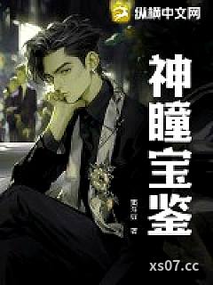 神瞳宝鉴小说封面-窦斗豆-都市