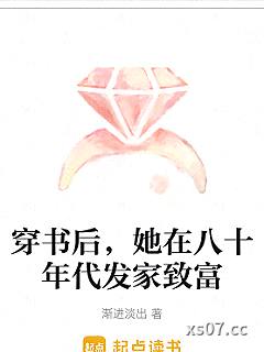 穿书后，她在八十年代发家致富小说封面-渐进淡出-都市