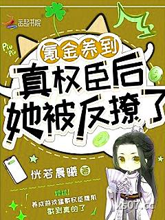 氪金养到真权臣后，她被反撩了小说封面-恍若晨曦-言情
