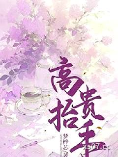 高抬贵手小说封面-梦梓芯-都市