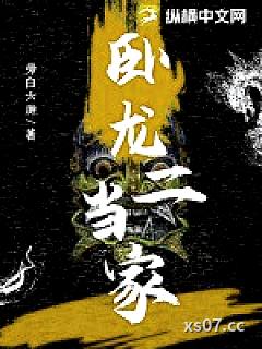 卧龙二当家小说封面-旁白六神-都市
