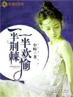 一半荆棘，一半欢愉小说封面-小师-都市