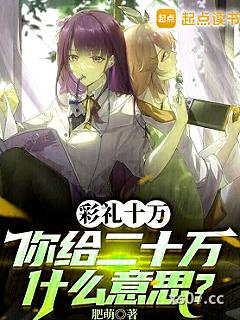 彩礼十万，你给二十万什么意思？小说封面-肥萌-言情