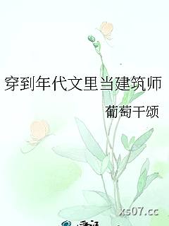 穿到年代文里当建筑师小说封面-葡萄干颂-言情