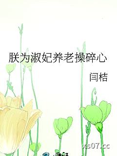 朕为淑妃养老操碎心