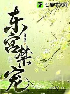 东宫禁宠小说封面-风烟流年-科幻