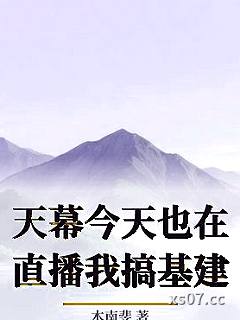 天幕今天也在直播我搞基建