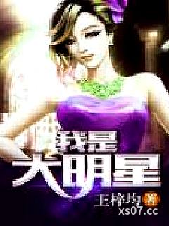 我是大明星小说封面-王梓钧-都市