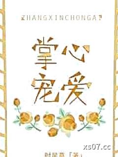 掌心宠爱小说封面-时星草-其他