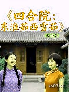四合院：东淮茹西雪茹小说封面-玄国-玄幻