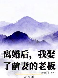 离婚后，我娶了前妻的老板小说封面-老刀-言情