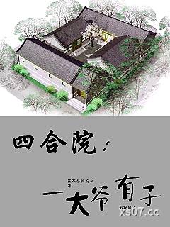 四合院：一大爷有子小说封面-花不尽的流水-都市