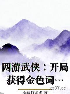 网游武侠：开局获得金色词条小说封面-金皖打老虎-游戏