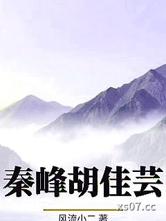 秦峰胡佳芸小说封面-风流小二-游戏