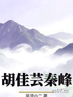 胡佳芸秦峰