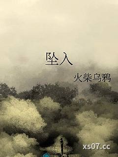 坠入小说封面-火柴乌鸦-ＢＬ同人