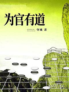 为官有道小说封面-夺城-都市