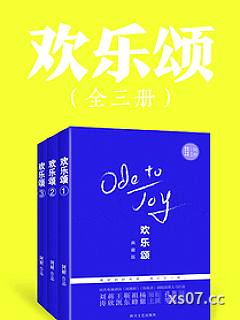 欢乐颂小说小说封面-阿耐-都市