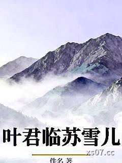 叶君临苏雪儿 作者：佚名