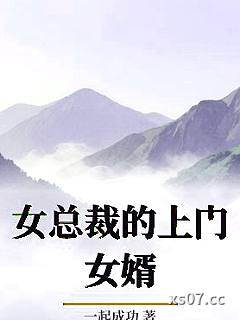 女总裁的上门女婿 作者：一起成功 分类：小说