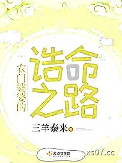 农门婆婆的诰命之路