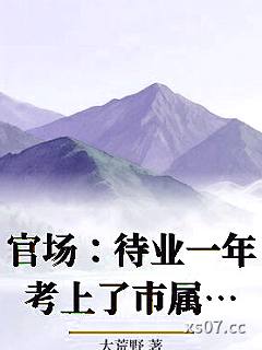 官场：待业一年考上了市属公务员小说封面-大荒野-都市