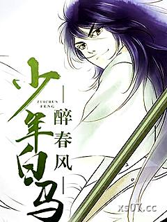 少年白马醉春风小说介绍