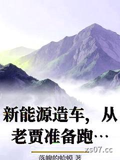 新能源造车，从老贾准备跑路开始小说封面-落魄的蛤蟆-都市