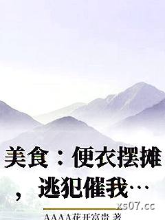 美食：便衣摆摊，逃犯催我快上班小说封面-AAAA花开富贵-都市