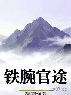铁腕官途