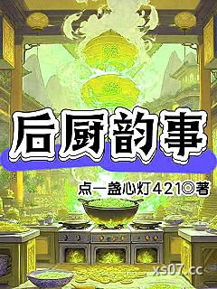 后厨韵事小说封面-点一盏心灯421-都市
