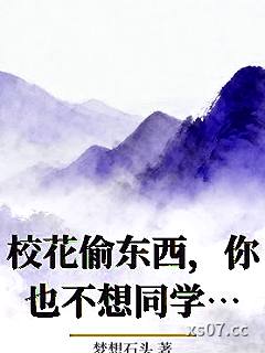 校花偷东西，你也不想同学都知道吧小说封面-梦想石头-都市