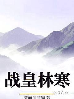 万古第一战皇林寒小说封面-蒙面加菲猫-穿越重生