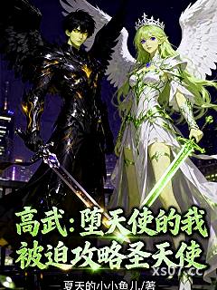 高武：堕天使的我被迫攻略圣天使小说封面-夏天的小小鱼儿-都市