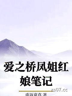 爱之桥凤姐红娘笔记