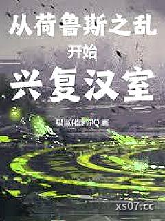 从荷鲁斯之乱开始兴复汉室小说封面-佚名-都市