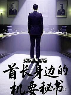 首长身边的机要秘书小说封面-天下南岳1-都市