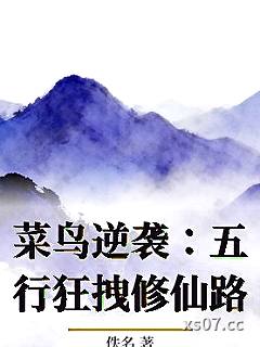 菜鸟逆袭：五行狂拽修仙路小说封面-佚名-仙侠