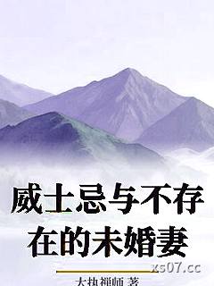 威士忌与不存在的未婚妻小说封面-大执禅师-都市